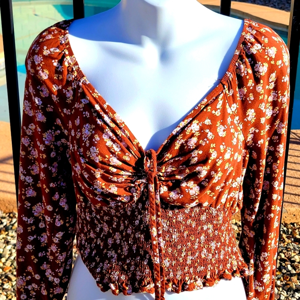 Brown, Vintage long sleeve Crop Top